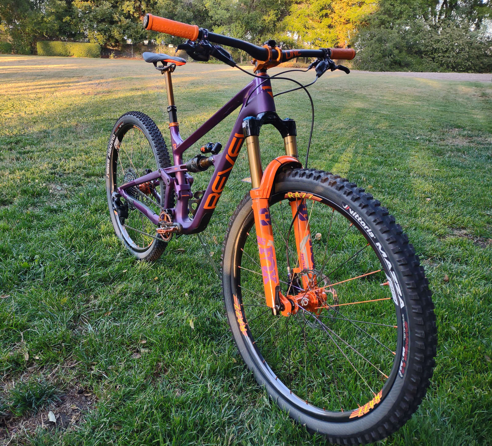 Custom Revel Rascal bike build.